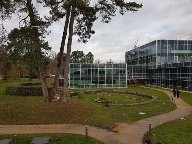 INSEAD